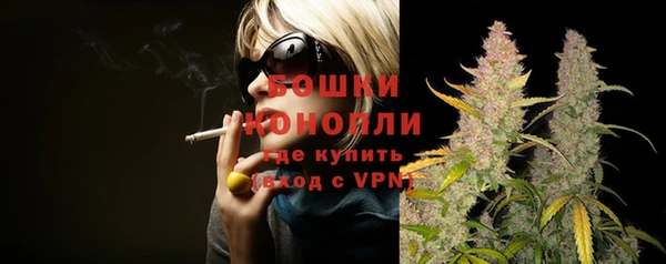 стаф Белокуриха
