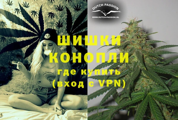 стаф Белокуриха
