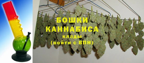 стаф Белокуриха