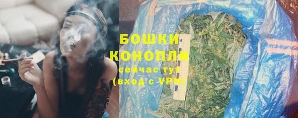 стаф Белокуриха
