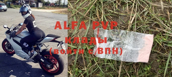 стаф Белокуриха
