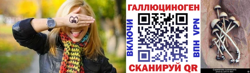 blacksprut зеркало  купить  сайты  Кузнецк  Галлюциногенные грибы Psilocybe 